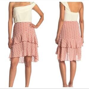 Walter Baker Jeannie Embroidered Ruffle High Low A-line Skirt NEW Women's 6